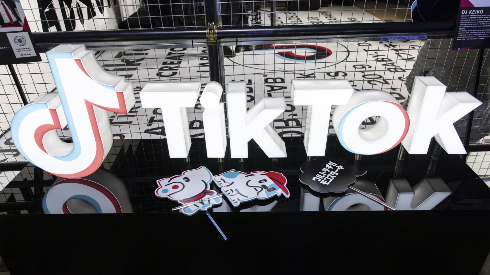 TikTok如何快速养号？