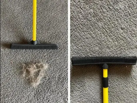 IndigoPetCo“狗狗脱毛扫帚”：宠物清洁出海新典范，TikTok热销背后的秘密