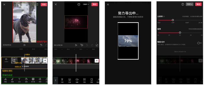 新手必看：手把手教你0-1打造TikTok爆款内容