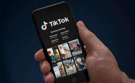 TikTok官方文档都有哪些内容板块？
