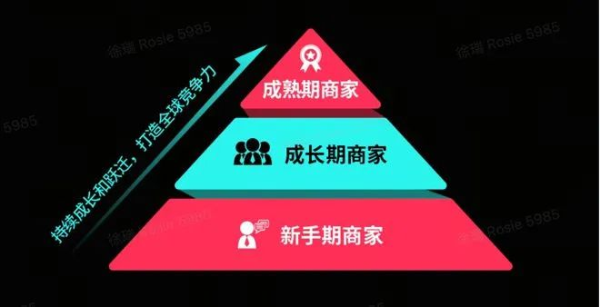 TikTok电商再发力：2024年跨境电商的新风口与机遇