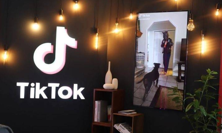 TikTok印尼市场攻略：如何利用海外网红引领品牌营销？