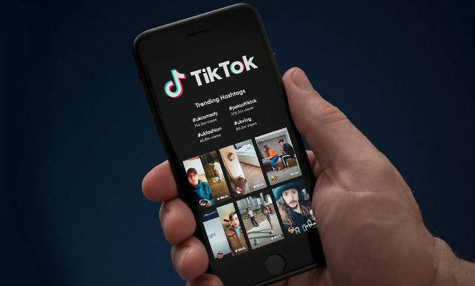 错过抖音，别再错过TikTok！揭秘TikTok流量获取与变现的全套秘诀
