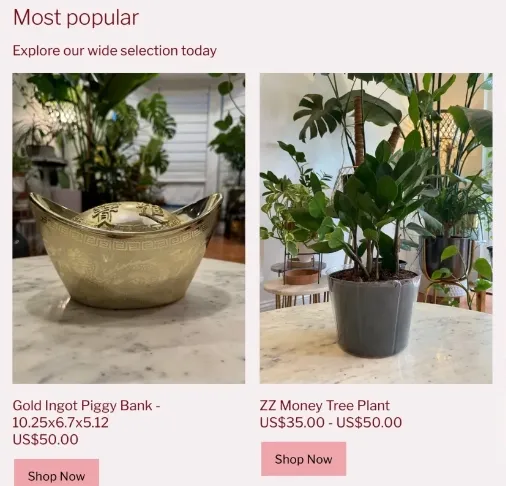 TikTok引领风水植物热潮：海外市场的消费新趋势与心理洞察