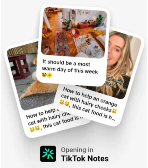 TikTok扩展社交版图，新应用TikTok Notes挑战图片分享市场