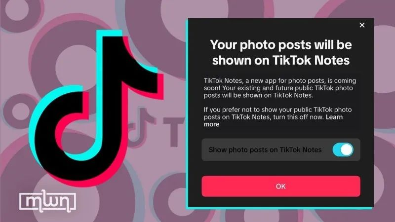 TikTok将推出图文分享应用程序TikTok Notes