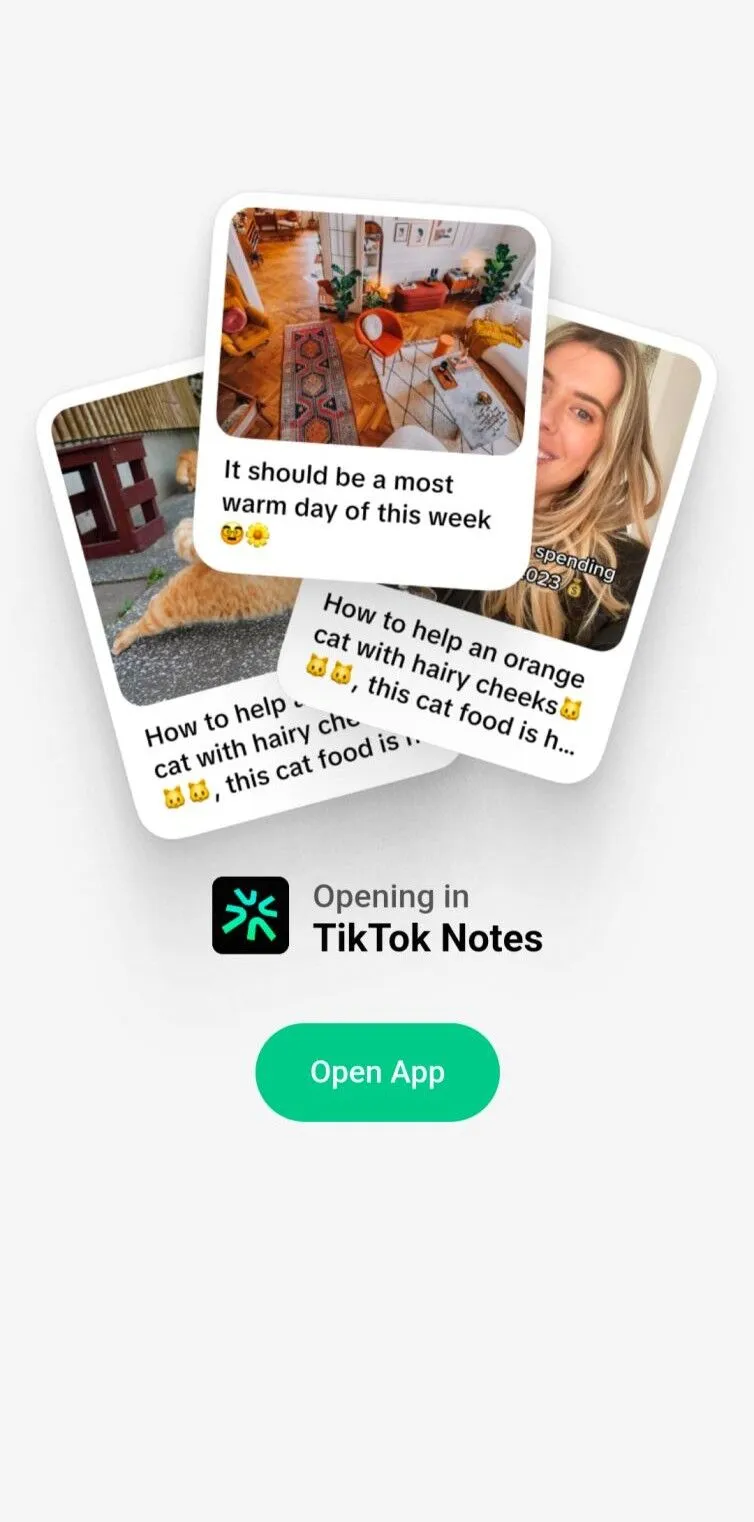 TikTok即将推出的TikTok Notes挑战Instagram