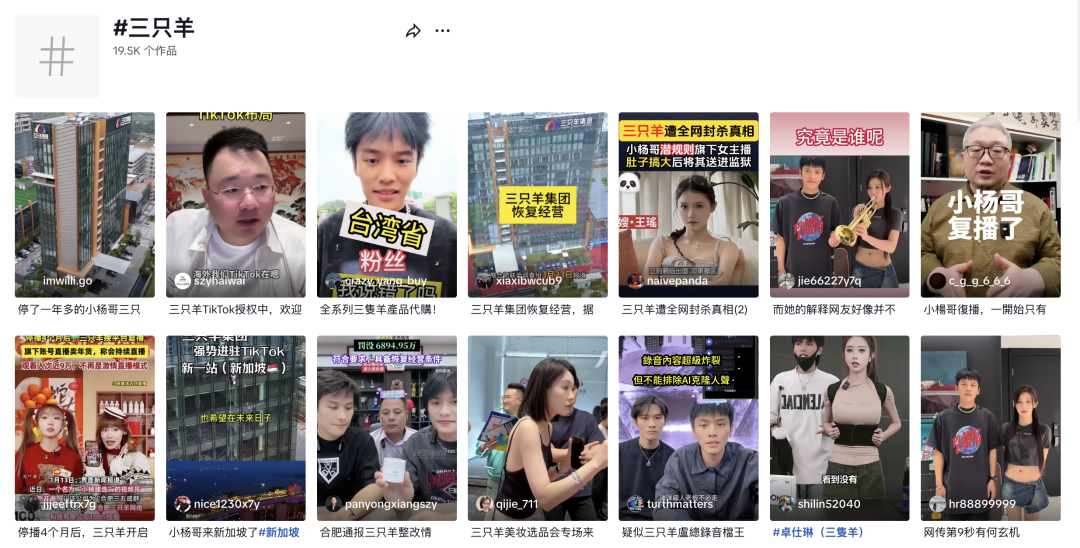 三只羊重启征程：TikTok海外战场的机遇与挑战