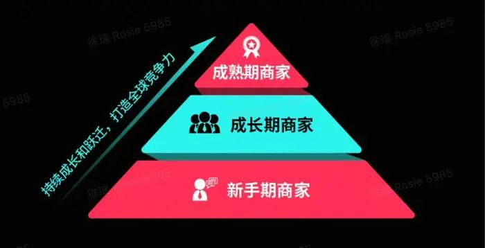 TikTok Shop启动“产业带100计划”：中国商家的全球崛起之路