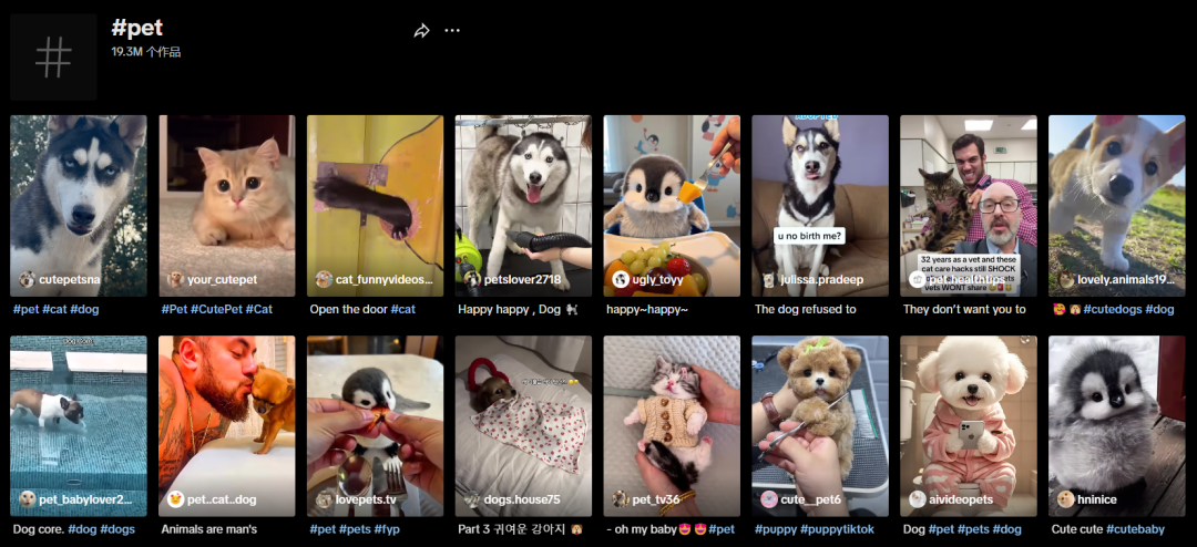TikTok 引爆宠物经济：智能玩具球背后的机遇与挑战